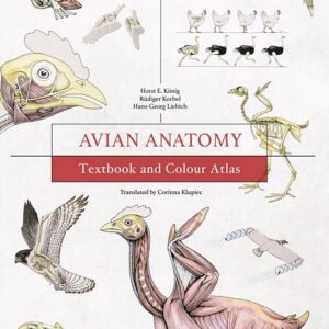 Avian Anatomy: Textbook and Colour Atlas, 2nd Edition