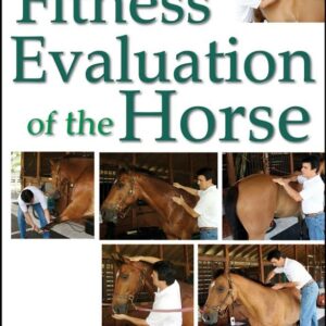 Fitness Evaluation of the Horse