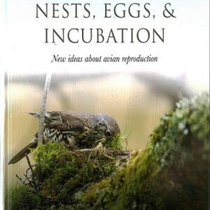 Nests, Eggs, and Incubation: New Ideas About Avian Reproduction 
