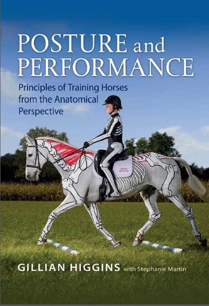 Posture and Performance: Principles of Training Horses from the Anatomical Perspective