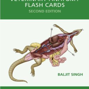Veterinary Anatomy Flash Cards, 2nd Edition 