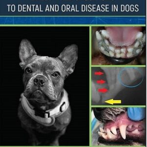 Breed Predispositions to Dental and Oral Disease in Dogs