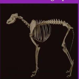 Canine Radiographs [Slideshares]