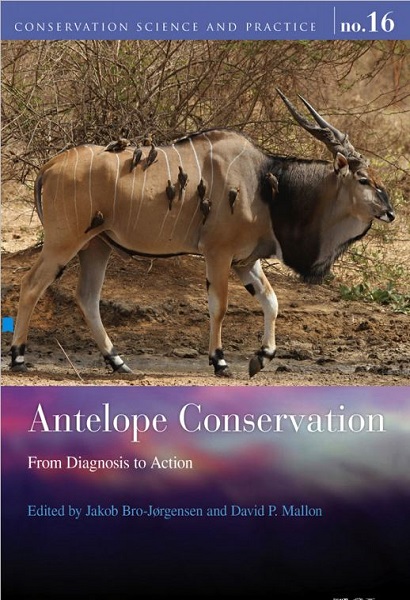 Antelope Conservation: From Diagnosis to Action