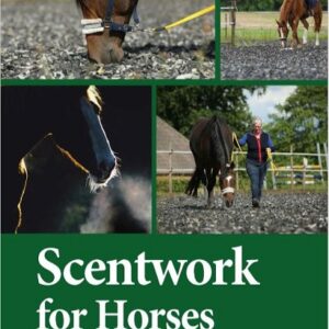 Scentwork for Horses 