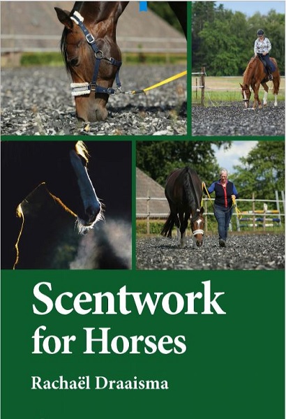 Scentwork for Horses
