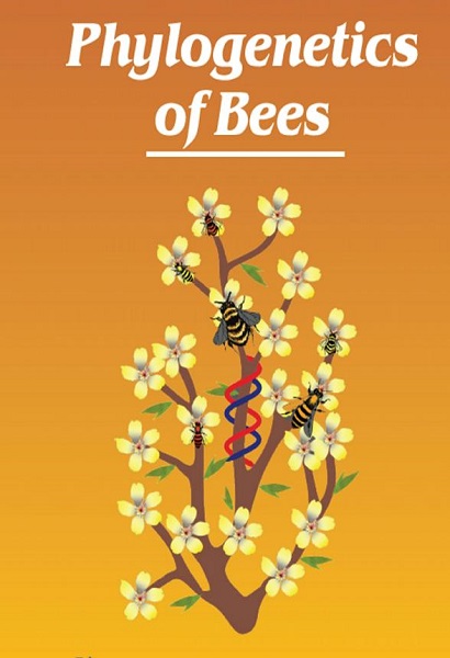 Phylogenetics of Bees