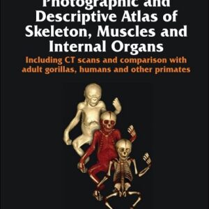 Baby Gorilla: Photographic and Descriptive Atlas of Skeleton, Muscles and Internal Organs
