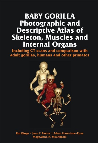Baby Gorilla: Photographic and Descriptive Atlas of Skeleton, Muscles and Internal Organs