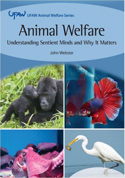 Animal Welfare: Understanding Sentient Minds and Why It Matters