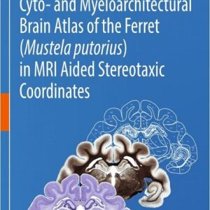 Cyto- Myeloarchitectural Brain Atlas of the Ferret (Mustela putorius) in MRI Aided Stereotaxic Coordinates