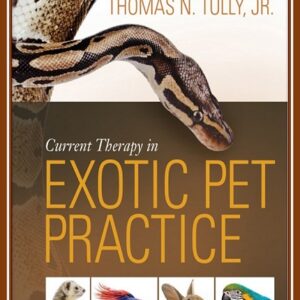 Current Therapy in Exotic Pet Practice