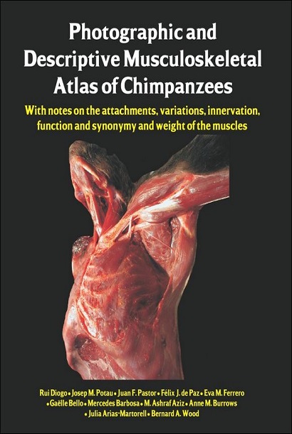 Photographic and Descriptive Musculoskeletal Atlas of Chimpanzees: With Notes on the Attachments, Variations, Innervation, Function and Synonymy and Weight of the Muscles