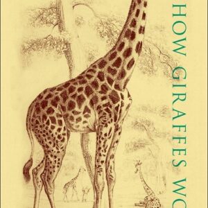 How Giraffes Work