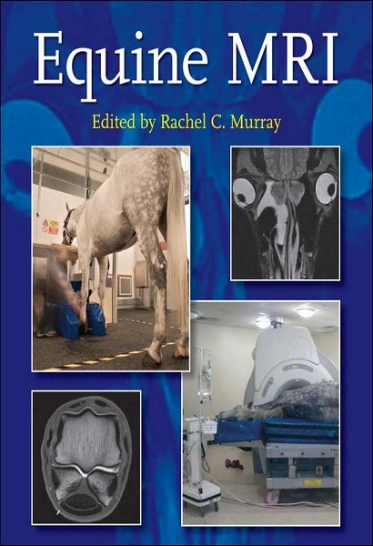 Equine MRI