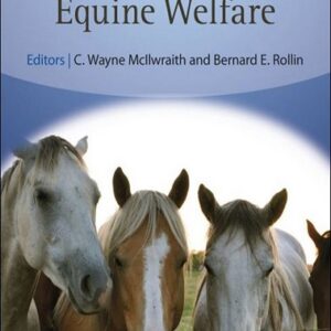 Equine Welfare
