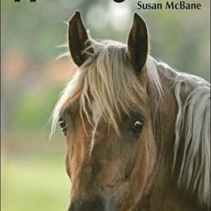 Horse Senses