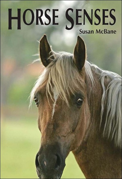 Horse Senses