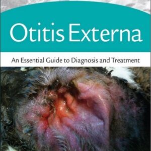 Otitis Externa: An Essential Guide to Diagnosis and Treatment