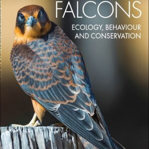 Australian Falcons: Ecology, Behavior and Conservation