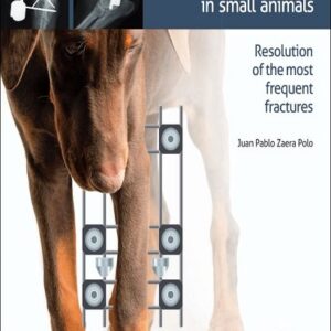 Bone Surgery in Small Animals: Resolution of the Most Frequent Fractures