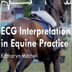 ECG Interpretation in Equine Practice