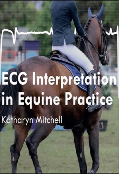 ECG Interpretation in Equine Practice