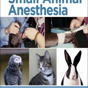 Questions and Answers in Small Animal Anesthesia 