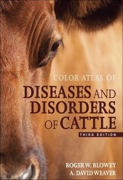 Color Atlas of Diseases and Disorders of Cattle, 3rd Edition