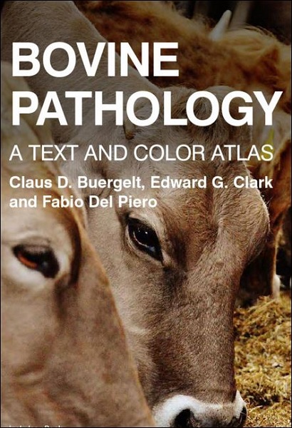 Bovine Pathology: A Text and Color Atlas