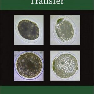 Equine Embryo Transfer