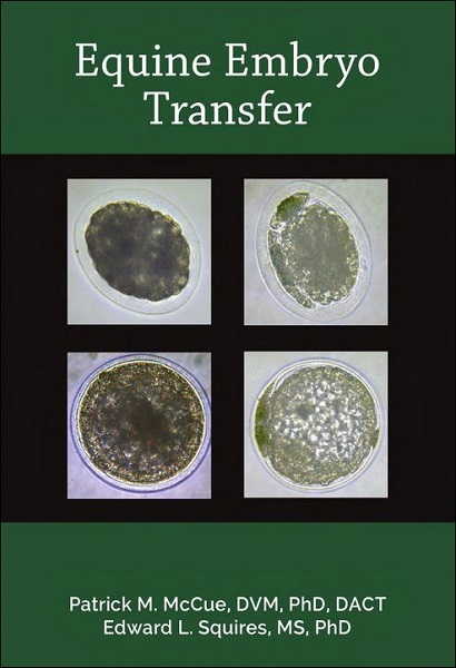Equine Embryo Transfer