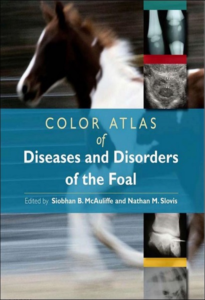 Color Atlas of Diseases and Disorders of the Foal