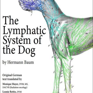 The Lymphatic System of the Dog