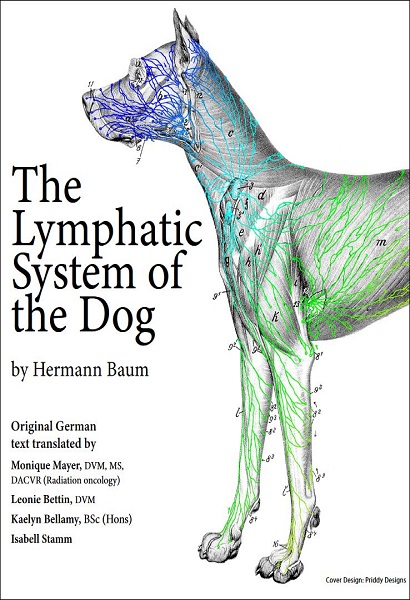 The Lymphatic System of the Dog