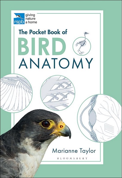 The Pocket Book of Bird Anatomy