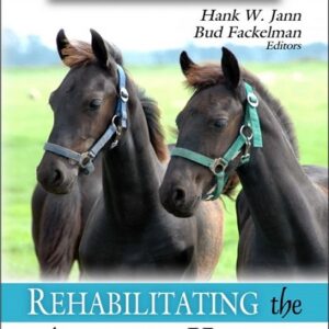 Rehabilitating the Athletic Horse