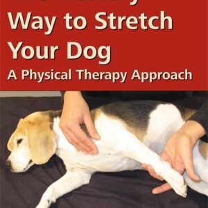 The Healthy Way to Stretch Your Dog: A Physical Therapy Approach