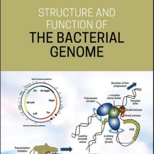 Structure and Function of the Bacterial Genome