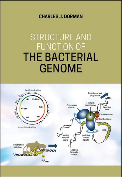 Structure and Function of the Bacterial Genome