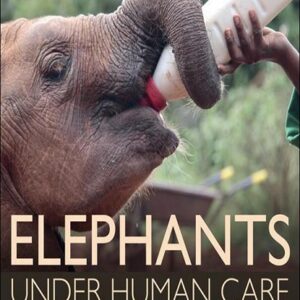 Elephants Under Human Care: The Behaviour, Ecology and Welfare of Elephants in Captivity