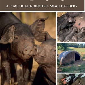 Keeping Pigs: A Practical Guide to Smallholders