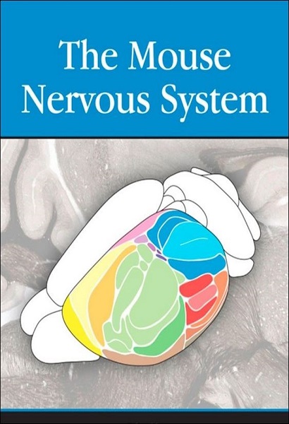 The Mouse Nervous System