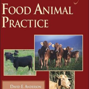 Food Animal Practice