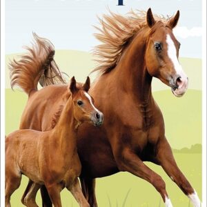 Horses and Ponies