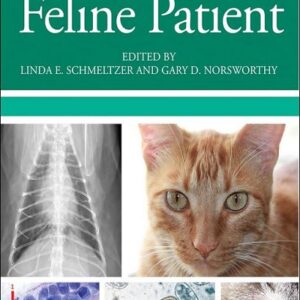 Nursing the Feline Patient 