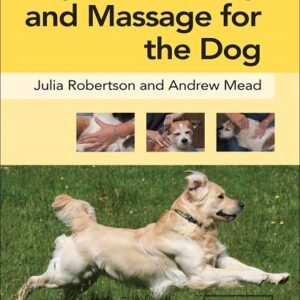 Physical Therapy and Massage for the Dog