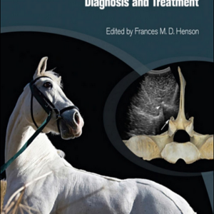 Equine Back Pathology: Diagnosis and Treatment 