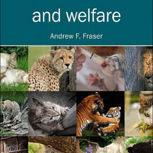 Feline Behaviour and Welfare