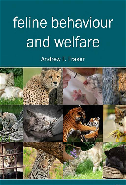 Feline Behaviour and Welfare